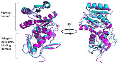 A Novel Regulation of K-antigen Capsule Synthesis in Porphyromonas gingivalis Is Driven by the Response Regulator PG0720-Directed Antisense RNA